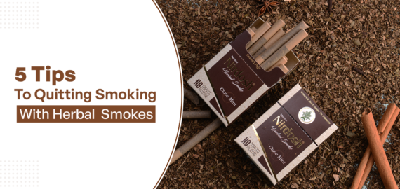 5 Tips To Quitting Smoking With Herbal Smokes