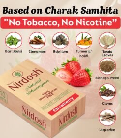 beech nut chewing tobacco price Beech-nut Chewing Tobacco Wintergreen